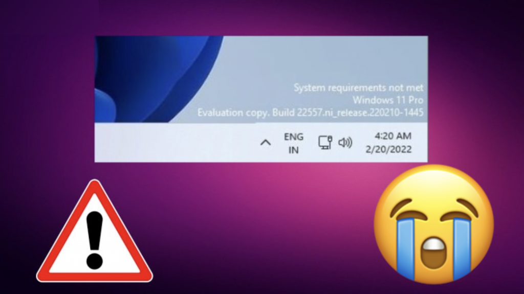 Windows 11