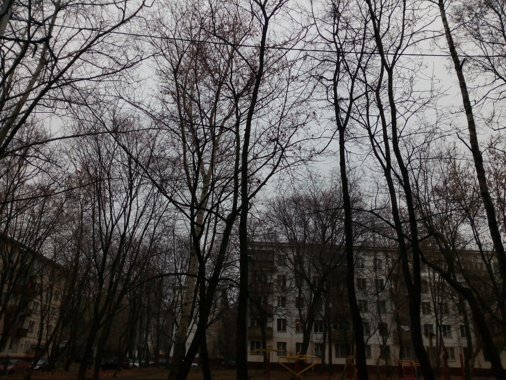 пейзаж на Tornado One пейзаж на Tornado One