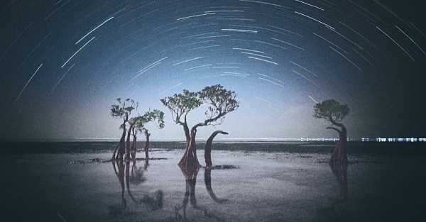 Названы победители конкурса iPhone Photography Awards