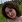 Анна Соколова